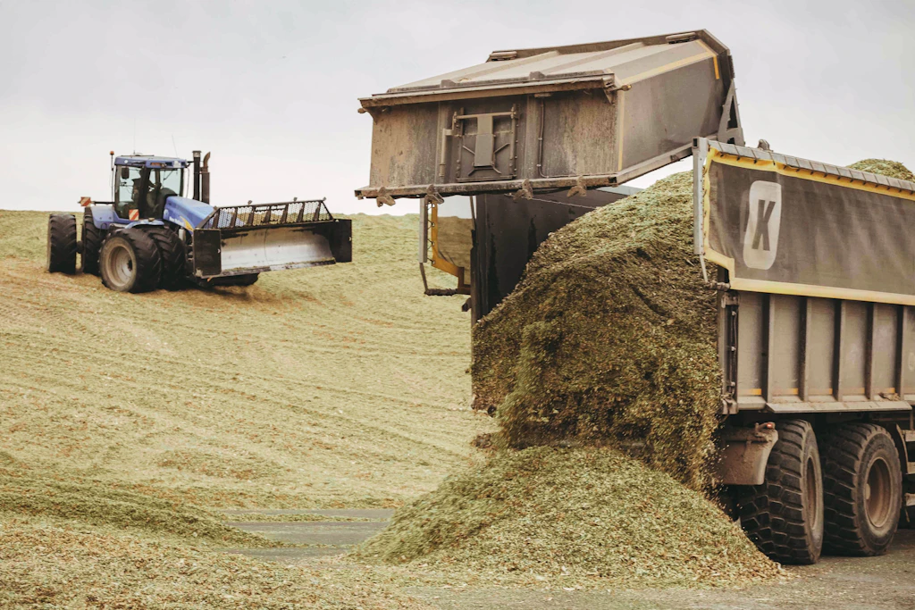 Vom Feld aufs Silo: In Hohen Luckow bringen die Erntehelfer Tag und Nacht Mais ein.