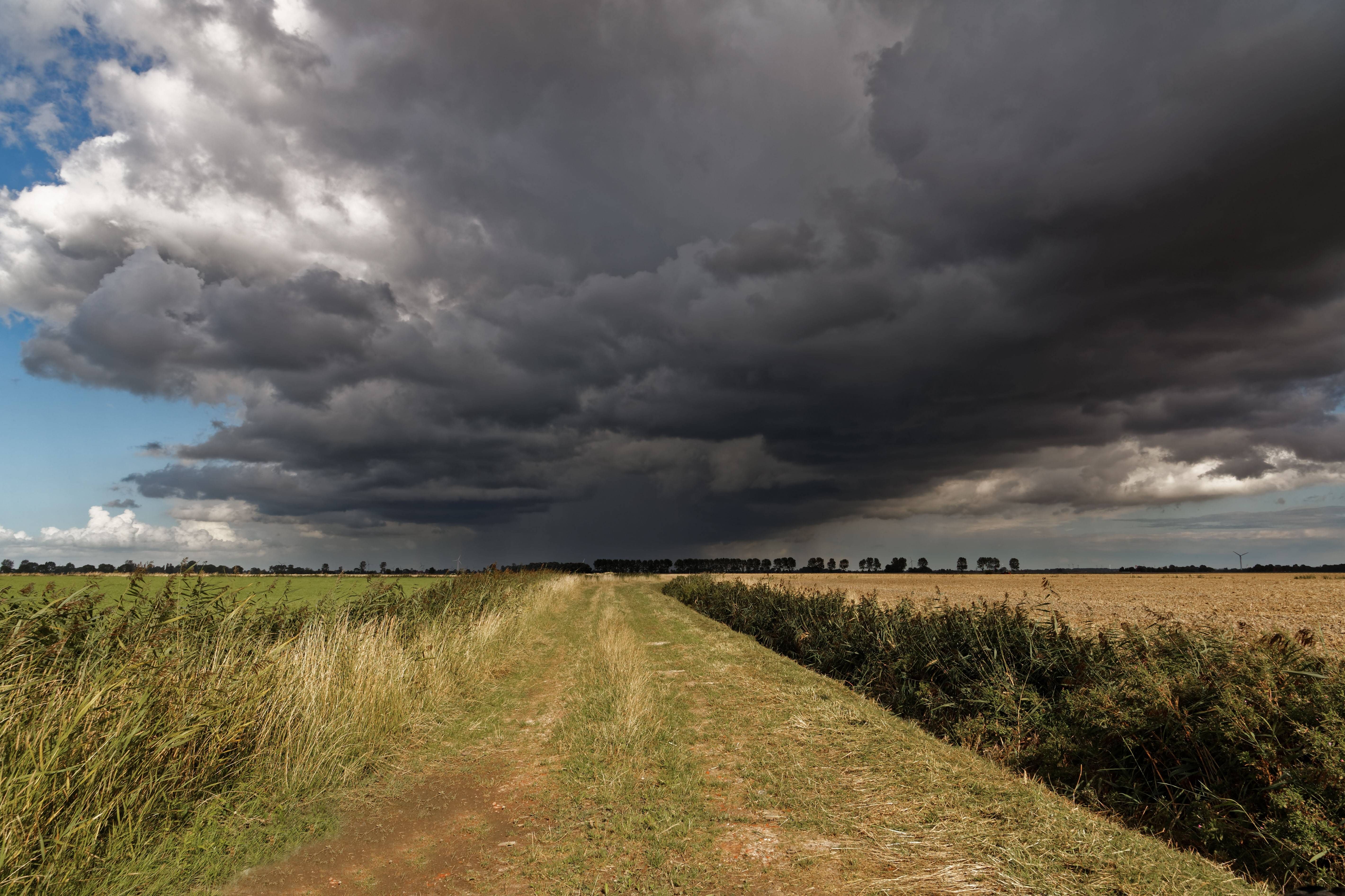 Am Donnerstag kracht es: Diese Bauernregel sagt das Gewitter auf den Tag genau voraus