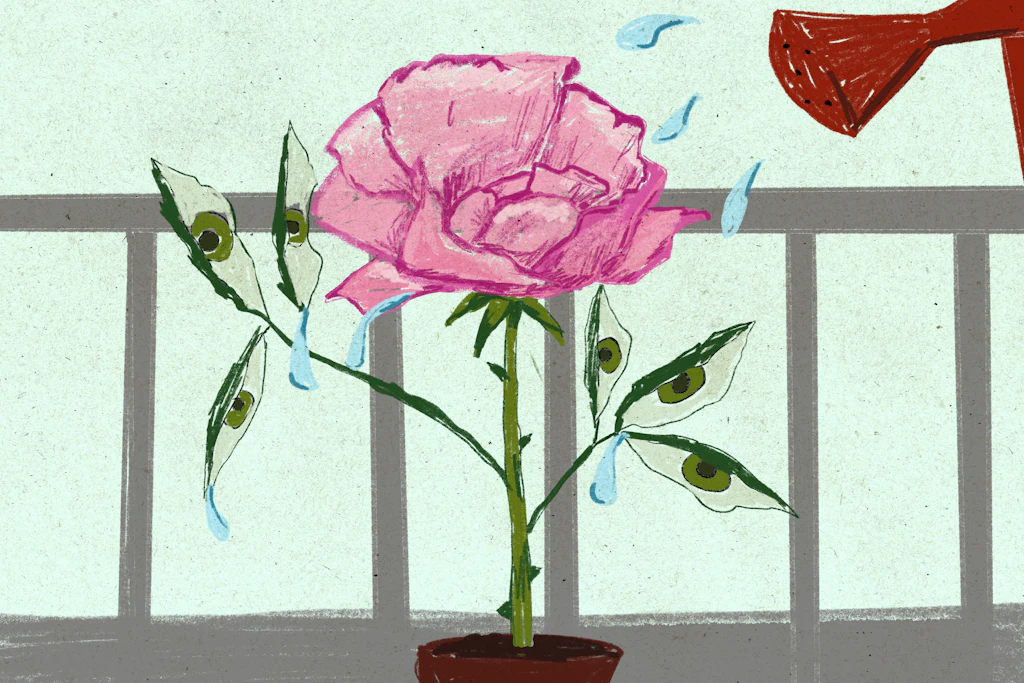 Selbstoptimierung: Warum mich der Rosenstock meiner Oma in den Wahnsinn treibt