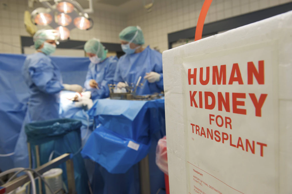 Transportbox für eine Niere bei einer Transplantation im Klinikum Bremen-Mitte 
