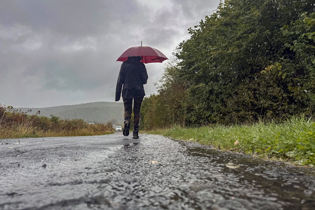 Grauer Himmel, nasse Straßen: Mit der Kaltfront zieht heute kräftiger Regen über Deutschland, am Alpenrand sind bis zu 50 Liter pro Quadratmeter möglich. (Symbolbild)