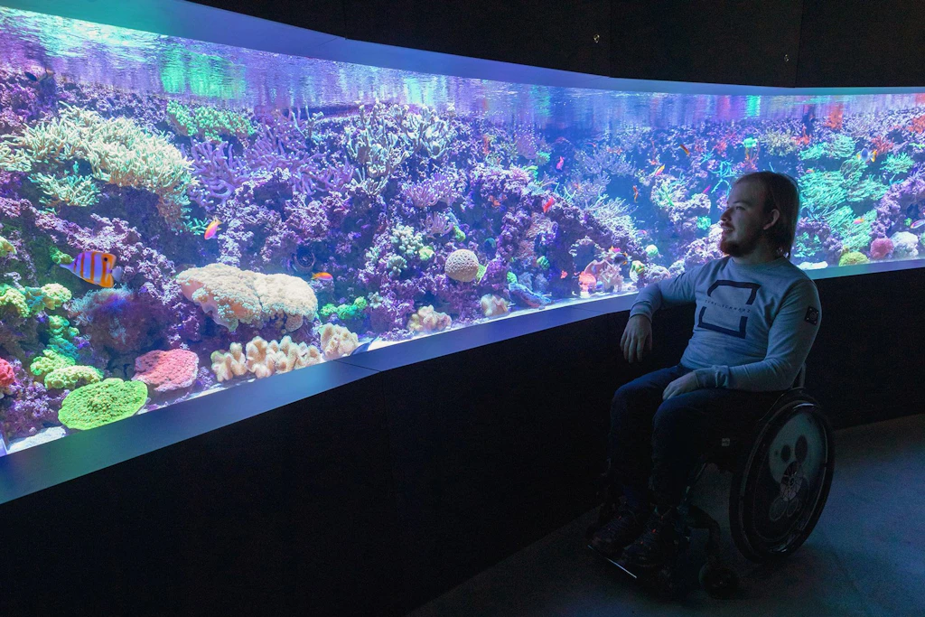 Korallenriff im Meeresmuseum: Die Aquarienführung in Stralsund rückt leuchtende Korallen und tropische Fische in den Mittelpunkt.