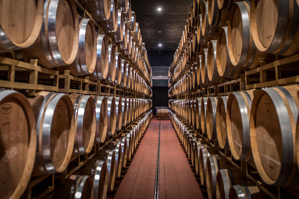 Weinfässer im Antinori-Weingut Guado al Tasso in Bolgheri. Auch Weine dieser Linie gehörten zur Millionenbeute der Täter.