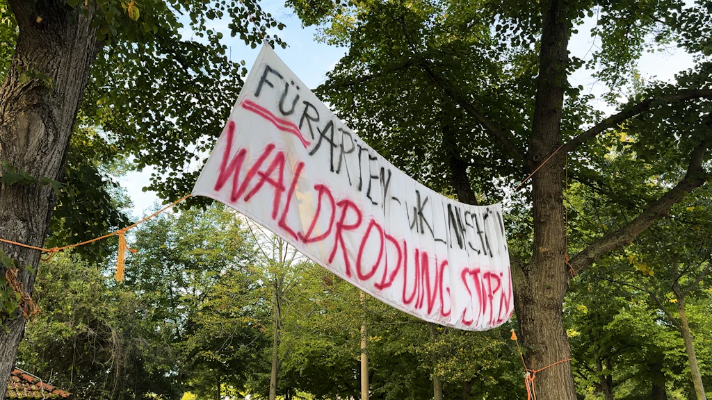 Wald für RB Leipzig opfern? Neue Details zum Streit am Cottaweg