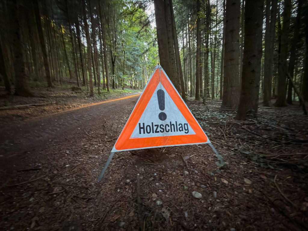Waldsperrung: Wegen mehrerer Fällungen bleibt der Küstenschutzwald in Wendorf für eine Woche geschlossen (Symbolbild).