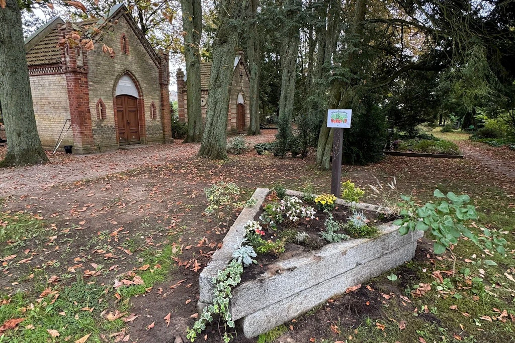 Übrige Grabpflanzen wechseln in Waren den Besitzer