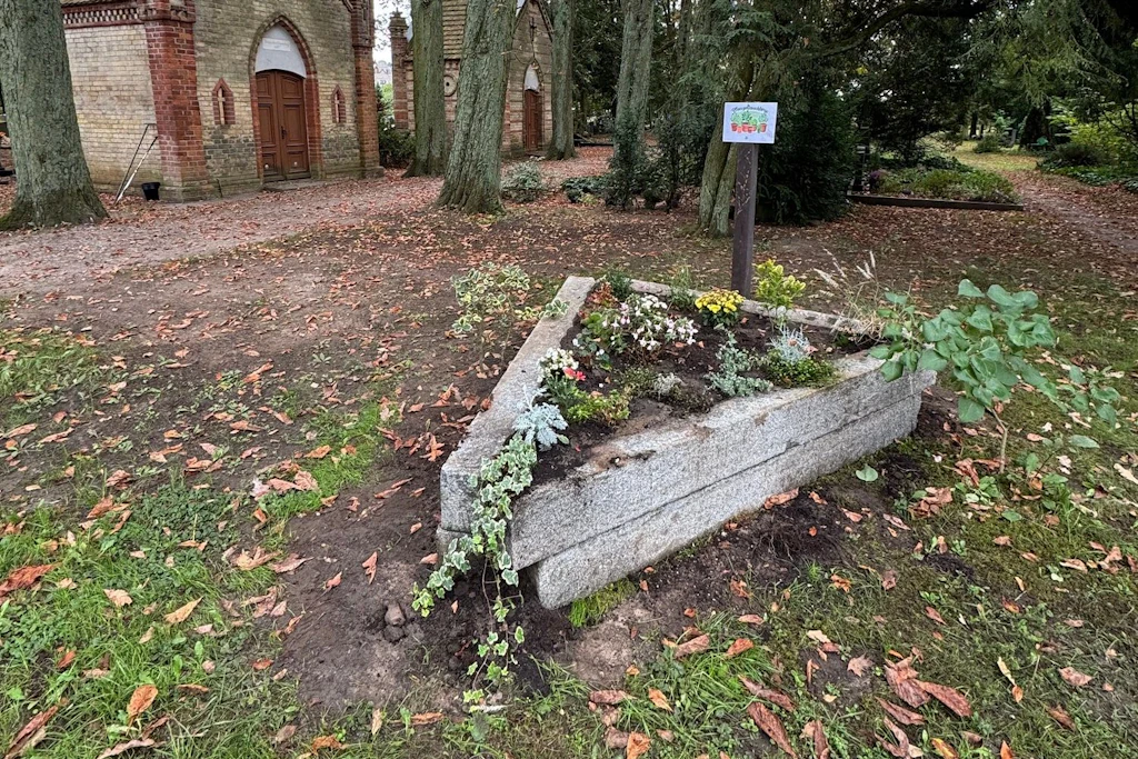 Stadtfriedhof Waren: Eine neue Tauschbörse sammelt übrig gebliebene Grabpflanzen für andere Grabstätten.