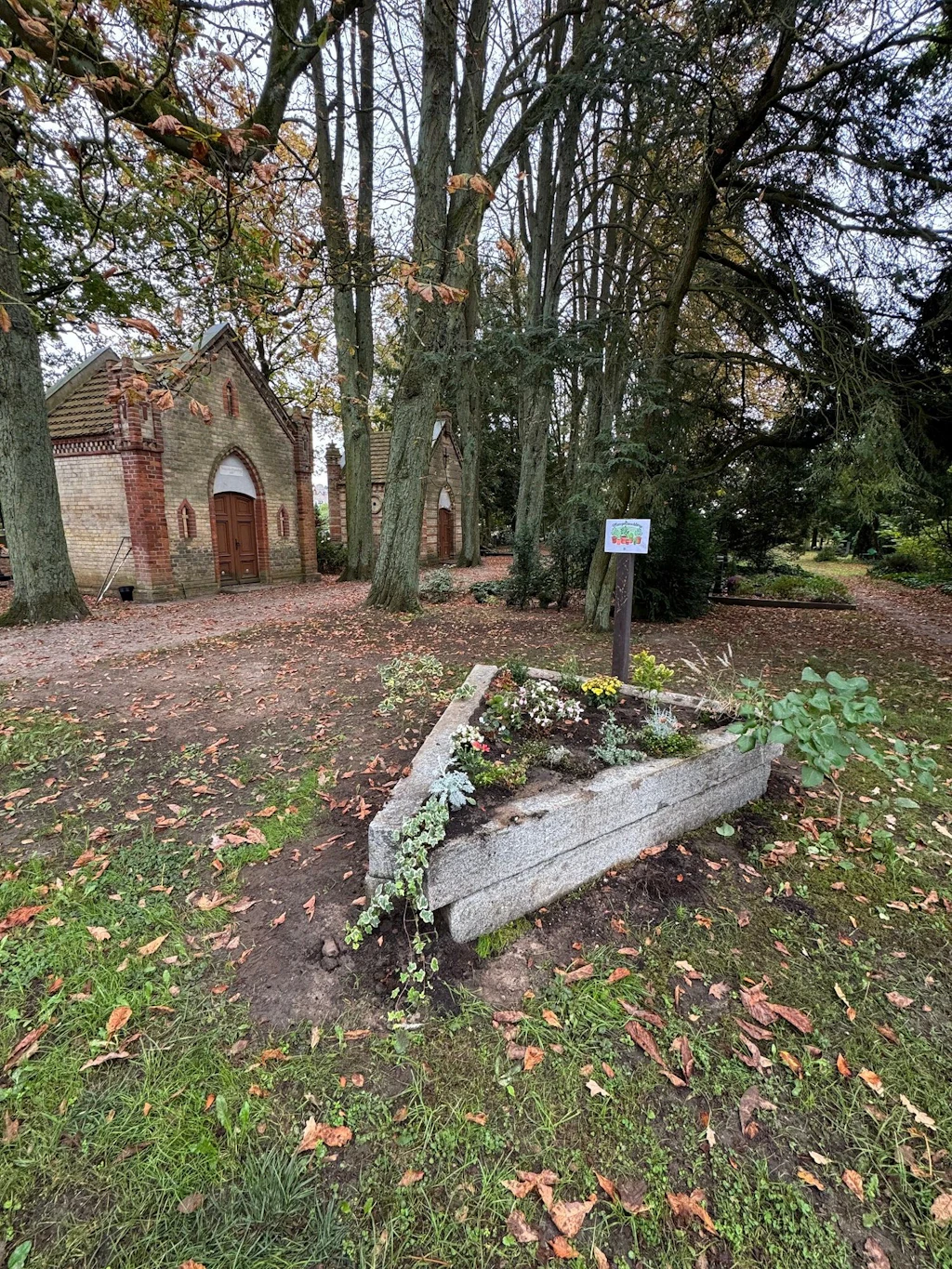 Übrige Grabpflanzen wechseln in Waren den Besitzer