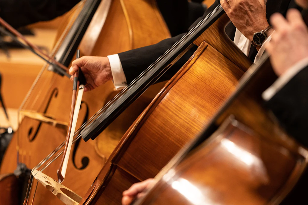 Foyerkonzert in Gera: Sieben Cellistinnen und Cellisten des Philharmonischen Orchesters Altenburg Gera spielen am 18. Oktober im Konzertsaalfoyer.