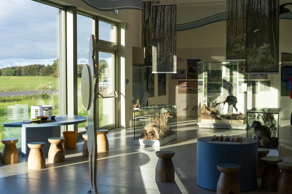 Die Ausstellung im neuen Kranichzenztrum in Günz, das im September 2025 öffnete und das kleinere Zentrum in Groß Mohrdorf ablöste.
