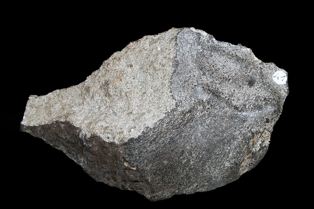 Pohlitzer Meteorit in Gera: Das 397 Gramm schwere Bruchstück ist im Museum für Naturkunde am Nicolaiberg zu sehen.