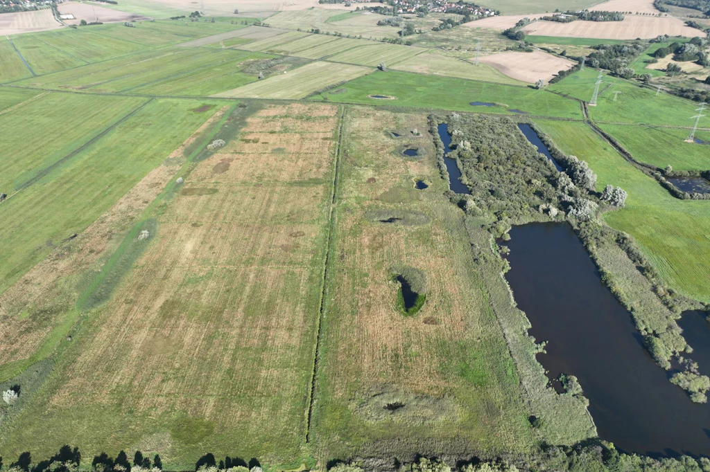 Moorprojekt in Schwerin: Im Siebendörfer Moor hat die Stadt mit der Wiedervernässung von 250 Hektar begonnen.