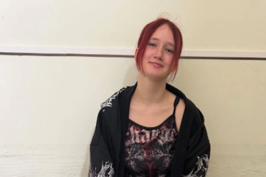 Die Polizei bittet die Bevölkerung um Mithilfe bei der Suche nach diesem Mädchen.