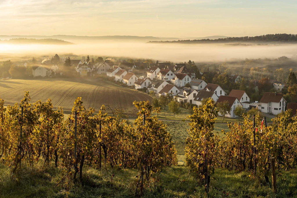 Goldenes Weinlaub, Nebel im Tal: Ab Montag hält ein Omega-Hoch die Tiefs von Deutschland fern. (Symbolbild)