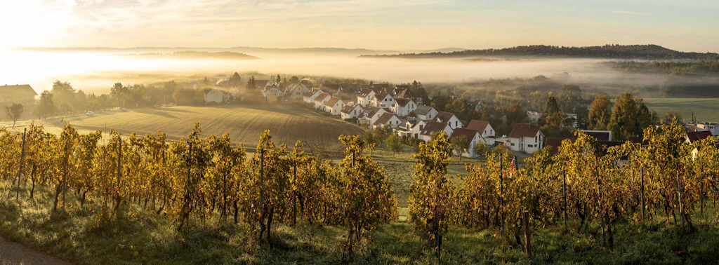 Unter 10 Grad am Samstag, 20 Grad nächste Woche: Dieses Omega-Hoch rettet den goldenen Oktober