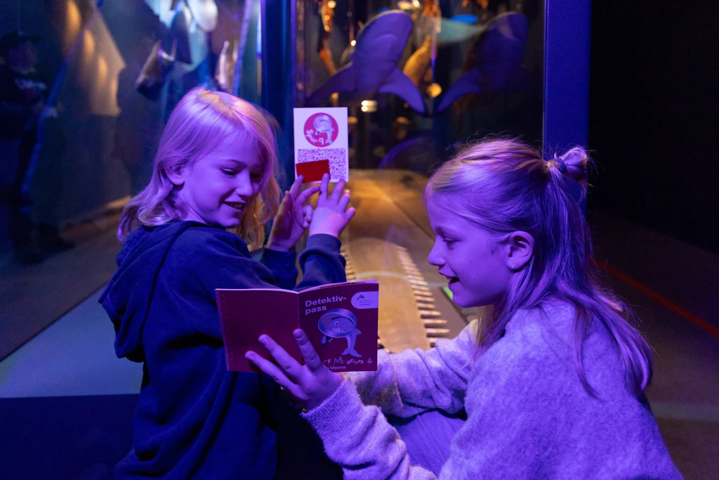 Bernstein-Diebstahl: Kinder ermitteln ab 1. November im OZEANEUM Stralsund