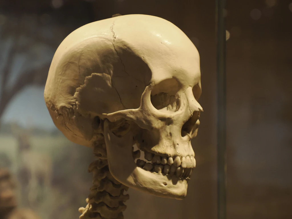 Shanidar A: Ältester Beleg für tödlichen Speerangriff auf Neandertaler?