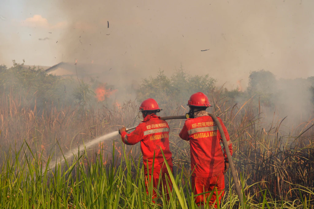 Indonesische Feuerwehrleute bekämpfen einen Torfbrand auf Sumatra.