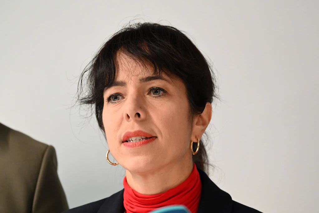 Elif Eralp (Linke) kritisiert den Vorstoß von Innenminister Alexander Dobrindt (CSU) zur Enteignung.