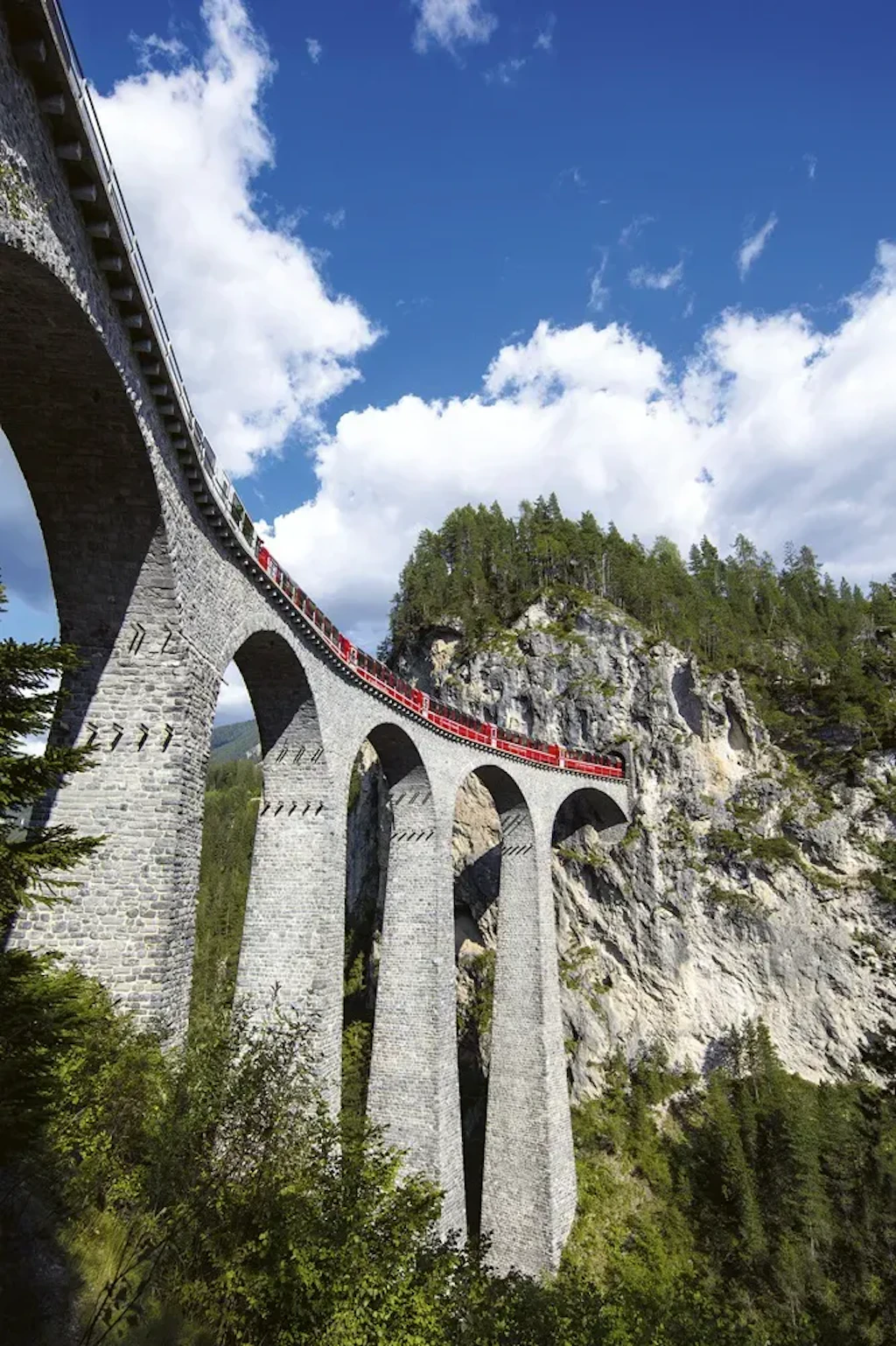 VON GLETSCHERN ZU PALMEN