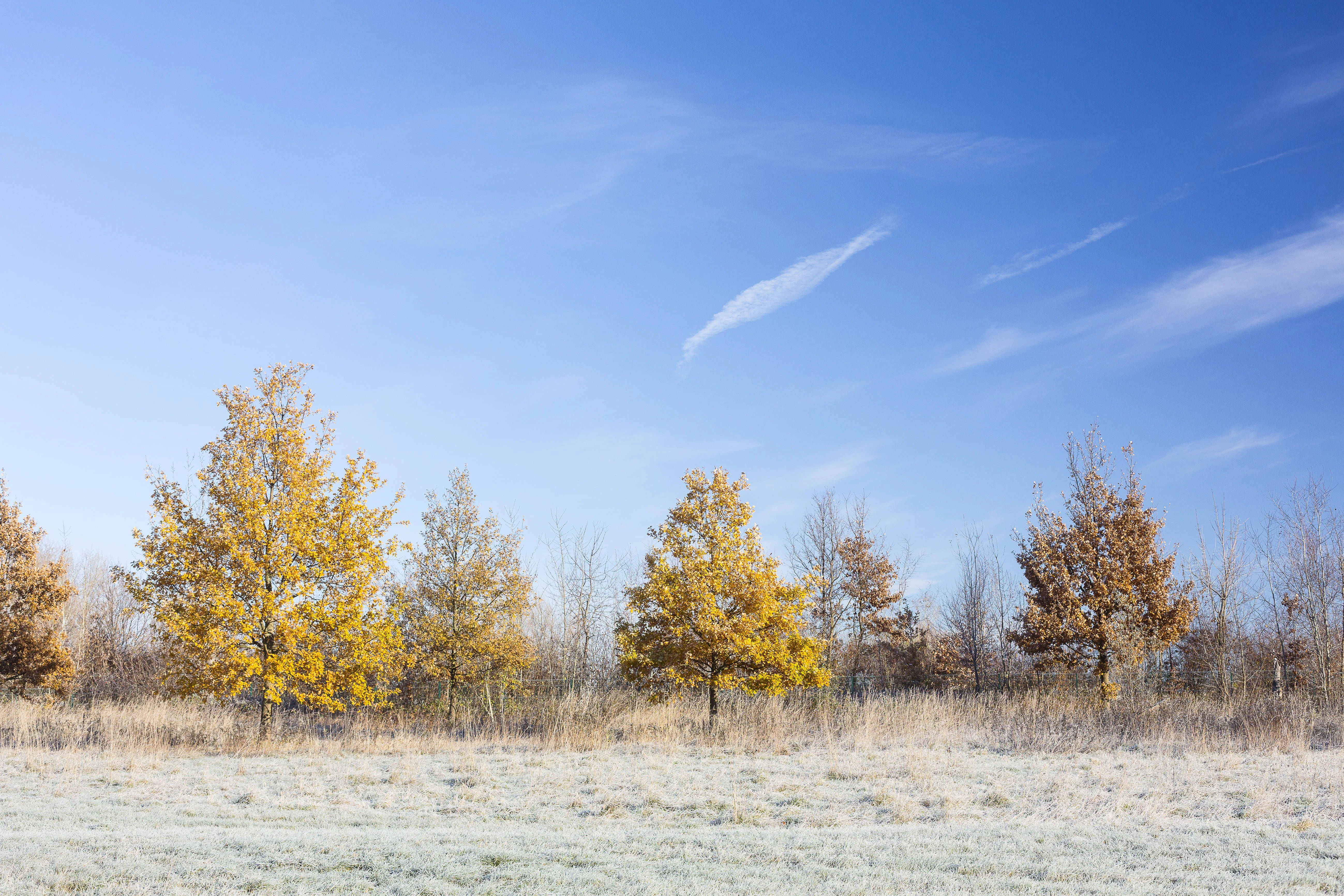 Heute 18 Grad, nachts minus 5: Nur noch zwei Tage, dann stürzt das ...