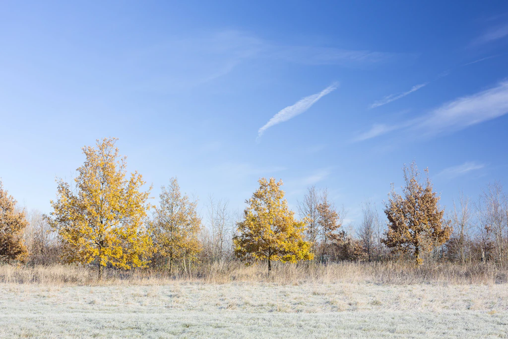 Heute 18 Grad, nachts minus 5: Nur noch zwei Tage, dann stürzt das Wetter ab