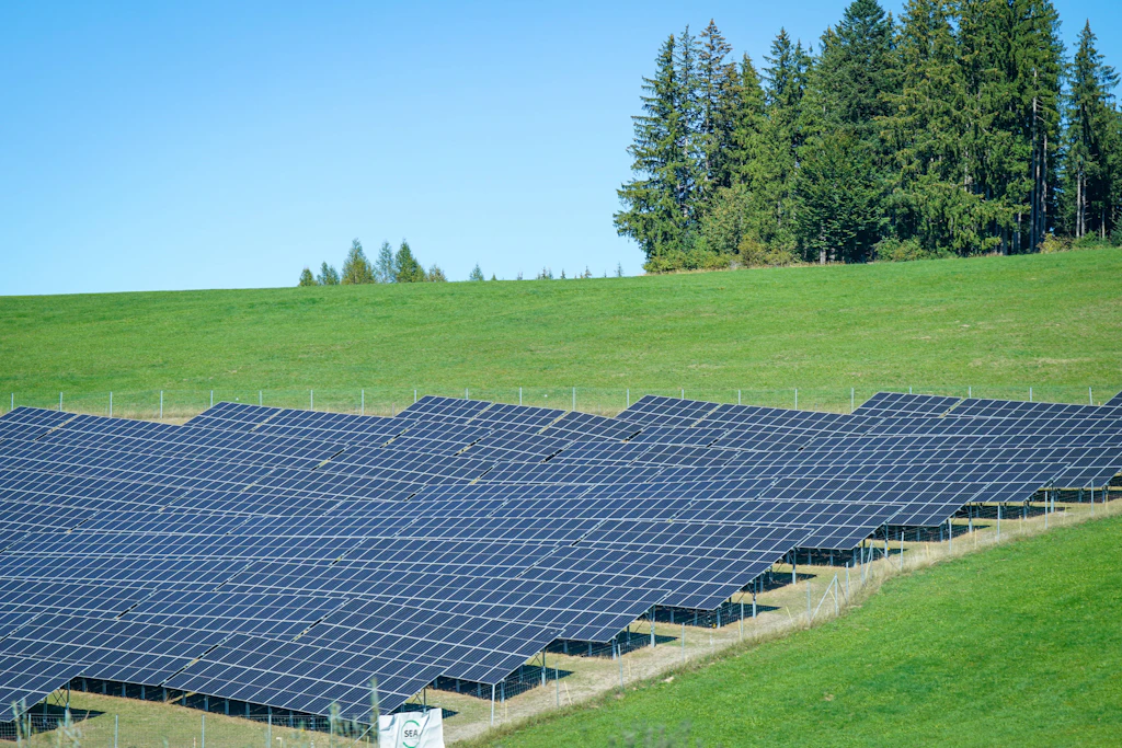 Solarpark Am Horstweg und Agri-Photovoltaik in Schernebeck beschlossen