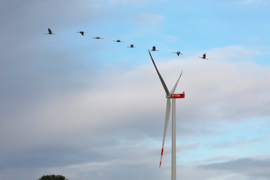 Windkraft: In Schwerin ist ein weiteres Windrad genehmigt worden, die Unterlagen liegen bis 3. November öffentlich aus (Symbolbild).