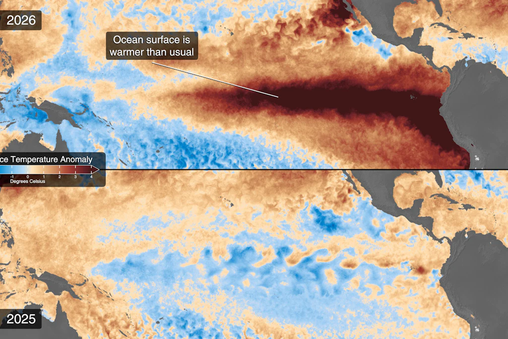 Rekord-El-Niño aus dem All: Die Satellitenkarte zeigt die Meerestemperatur im Pazifik am 10. Oktober 2026 (oben) und ein Jahr zuvor (unten). Dunkelrot steht für bis zu vier Grad wärmeres Wasser als normal.