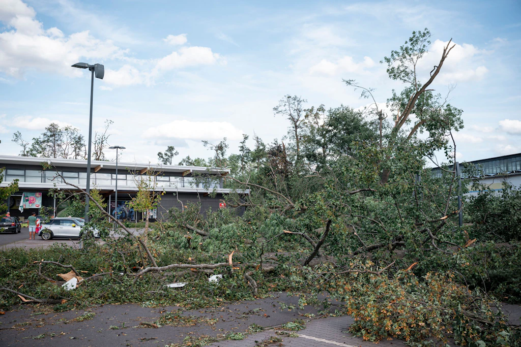 Auf dem Parkplatz eines Supermarkts in Ohrdruf liegen nach einem Tornado Teile von Bäumen und abgebrochene Äste.