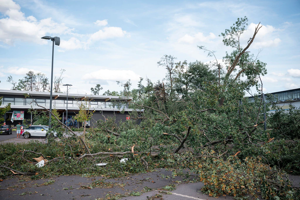 Deutscher Wetterdienst bestätigt: Tornado in Thüringen erreichte 250 km/h – stärkster Wirbelsturm 2026