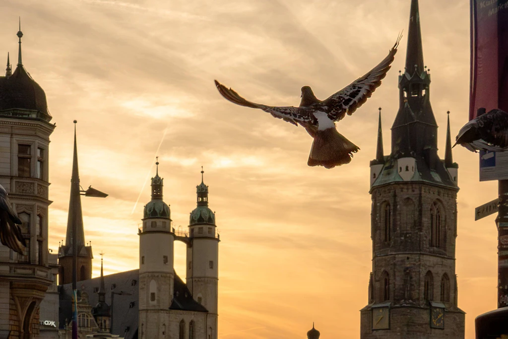 Glockenspiel-Automatik im Roten Turm in Halle ausgefallen