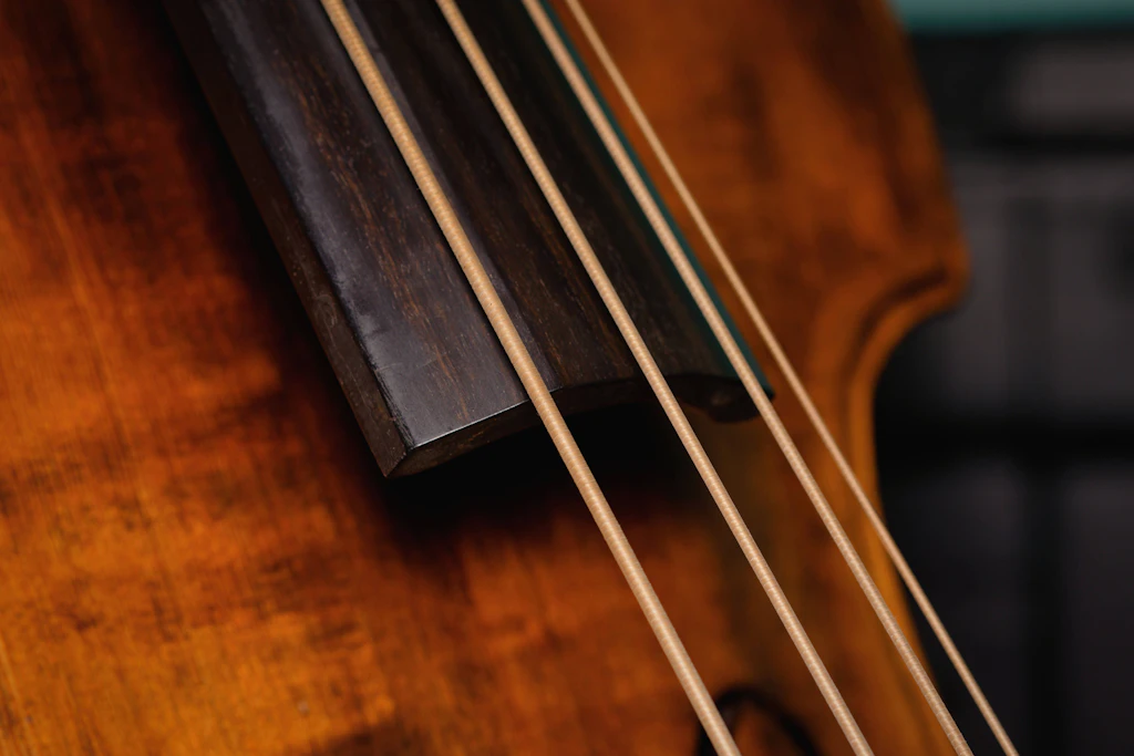 Philharmonie: Francesco Cagnasso debütiert am 29. Oktober in Freiberg