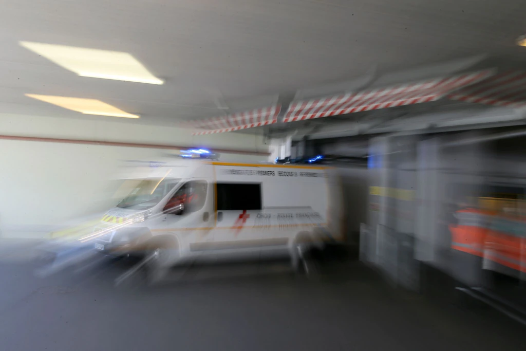 Erstmals beim Menschen nachgewiesen: Patient in Frankreich mit Shamonda-Virus gestorben
