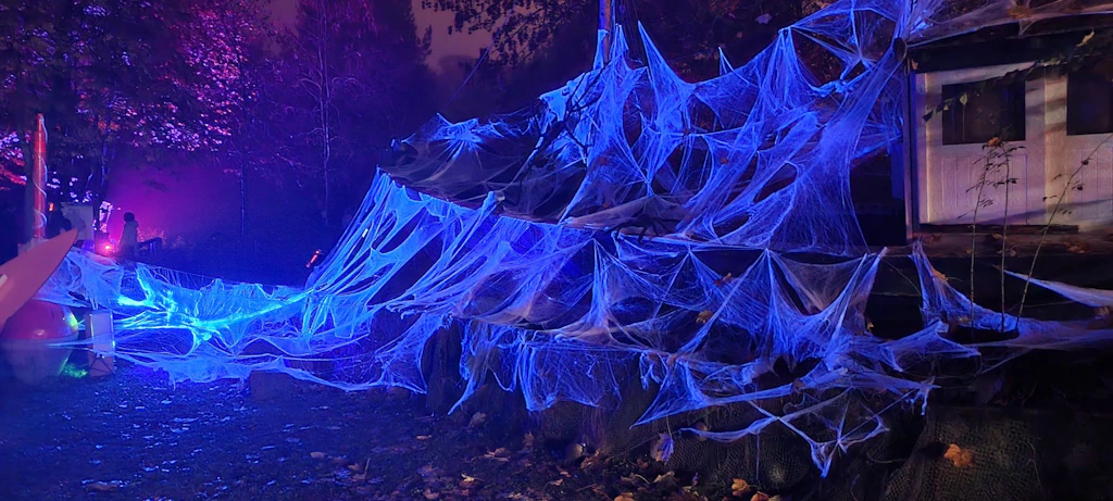 Halloween im Zoo Stralsund: Dann beginnt das Spektakel
