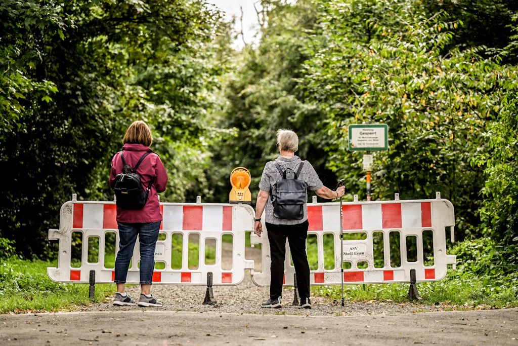 Wanderweg-Sperrung: Für den Neubau des Trinkwasser-Hochbehälters in Geyer werden Bäume gefällt (Symbolbild).