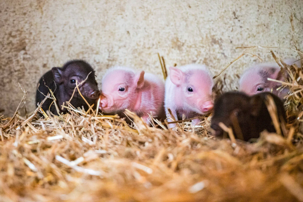 Gänsehaut im Zoo der Minis: Zoogeist Gustav lädt in Aue zur Gruselführung