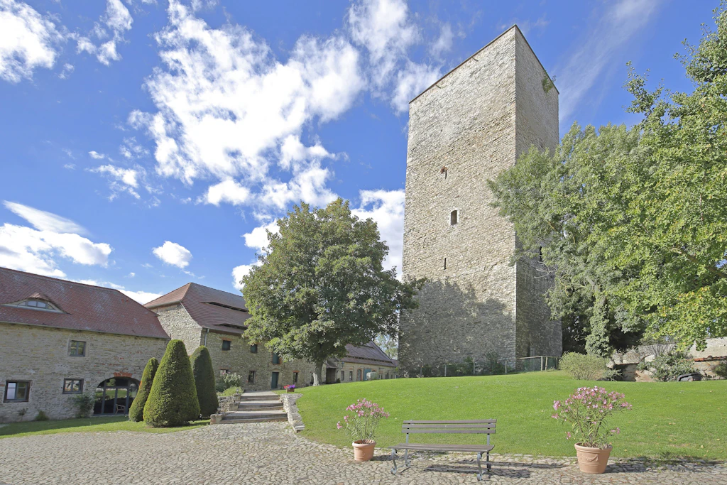 Herzmediziner informieren am 4. November auf Burg Wanzleben