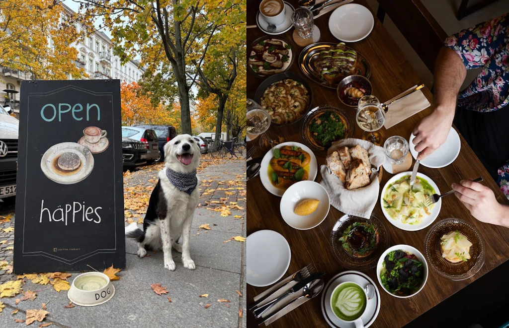 Mit Hund ins Restaurant: Fünf Berliner Adressen, an denen Vierbeiner willkommen sind