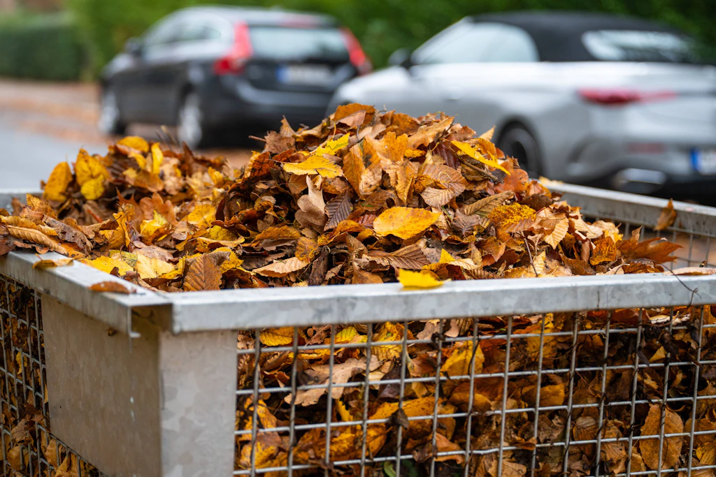 Laubcontainer: Die Stadt stellt in Brandenburg an der Havel ab Dienstag acht Behälter für Laub und Grünabfall auf (Symbolbild).