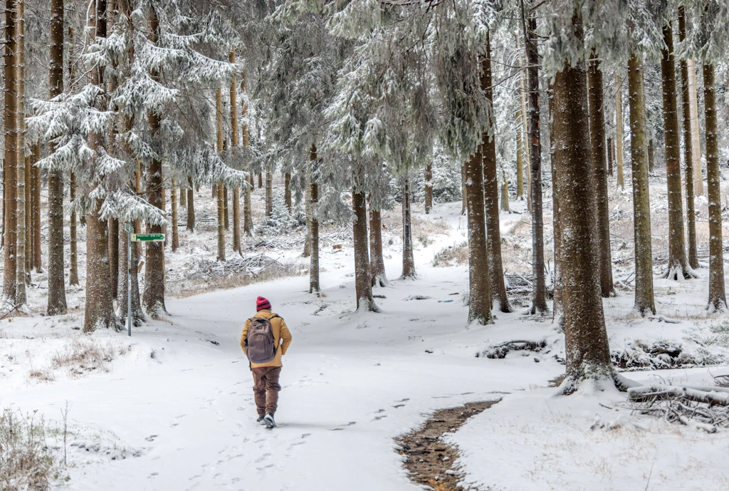 Erst 21 Grad, dann Frost: Für den 7. November zeigen die Karten Schnee