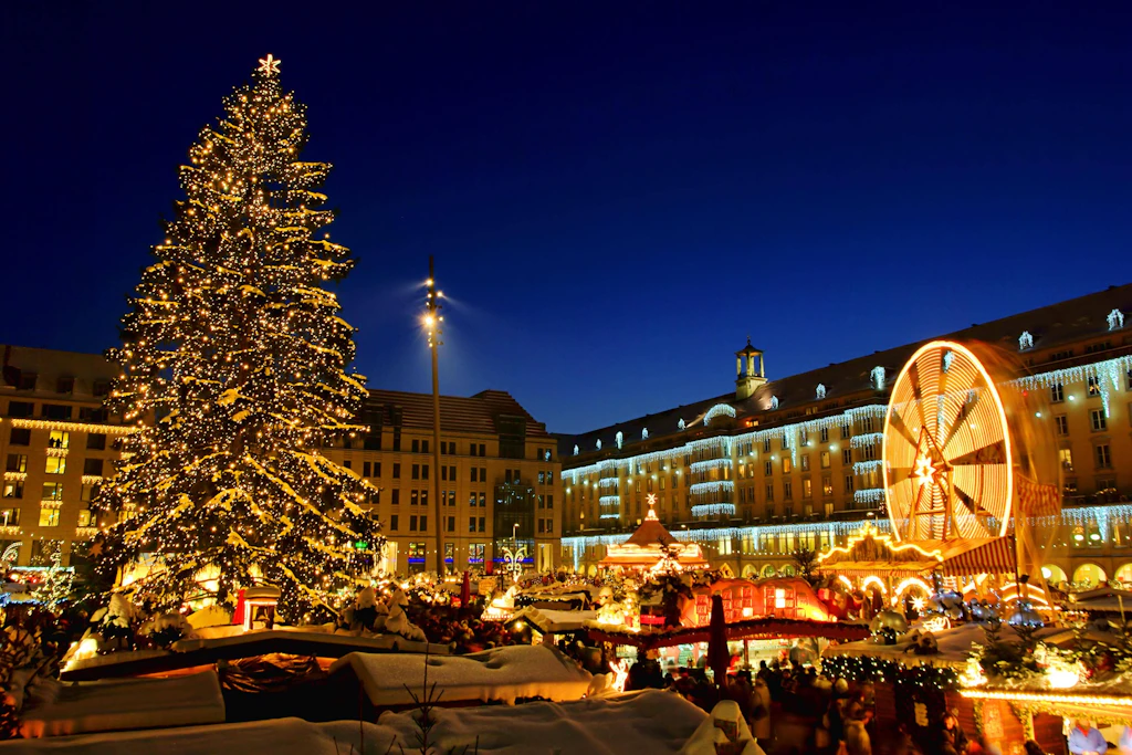 Weihnachtsbaum für den Striezelmarkt: Die 23 Meter hohe Nordmanntanne aus Pirna-Neundorf wird am Samstag auf dem Altmarkt erwartet (Archivbild).