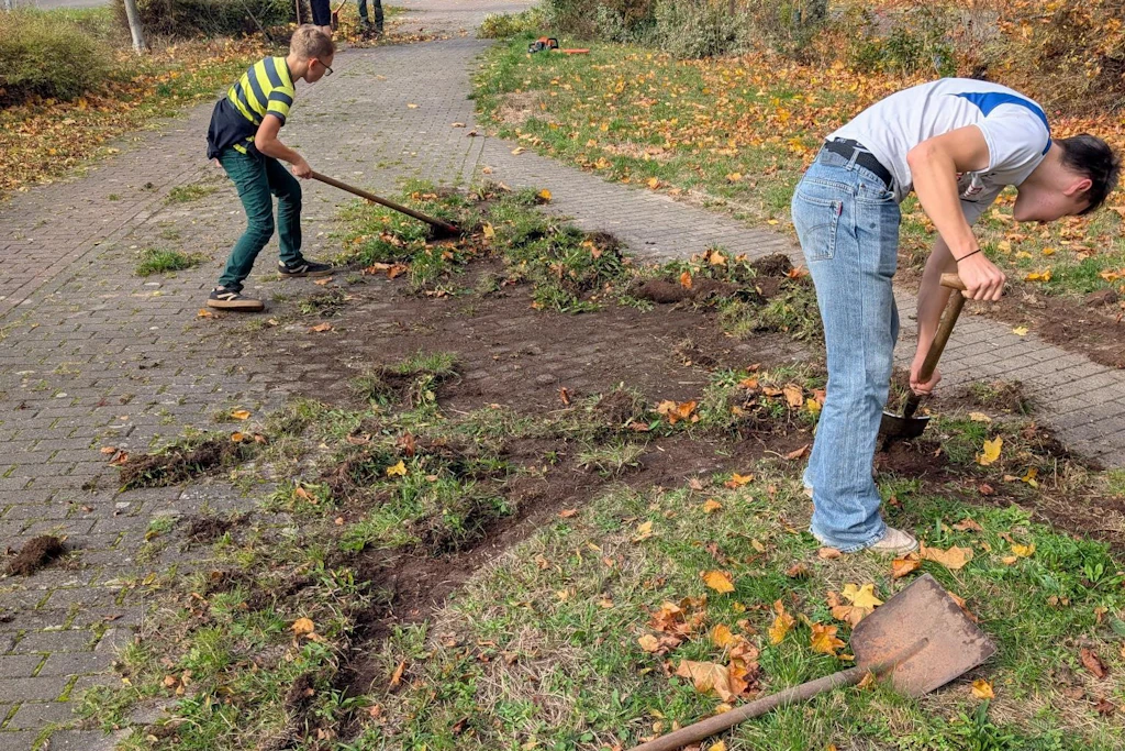 Gehwege in Heide Nord freigelegt: Jugendliche entfernen im Lunzbergring in Halle Unkraut und Erde von den Wegen.