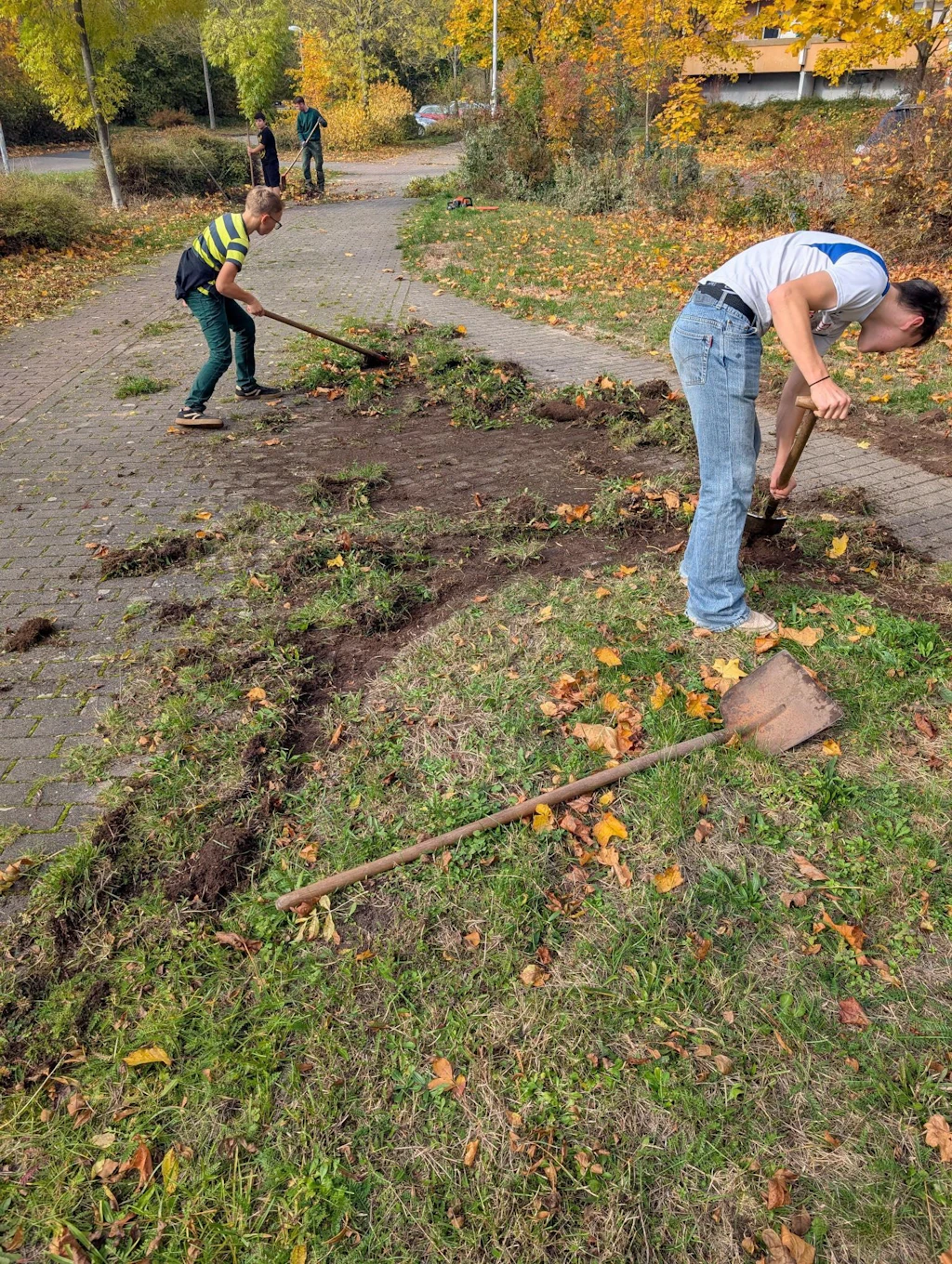 Machen statt Meckern: Jugendliche befreien in Heide Nord Gehwege von Unkraut