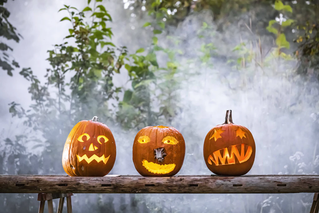 Halloween im Tiergarten: Kostümierte Gäste kommen am 31. Oktober in Halberstadt kostenlos hinein (Symbolbild).