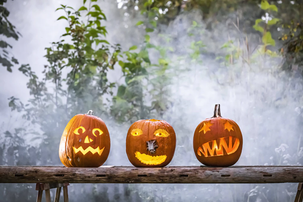 Halloween im Tiergarten Halberstadt: Kostümierte Gäste zahlen keinen Eintritt