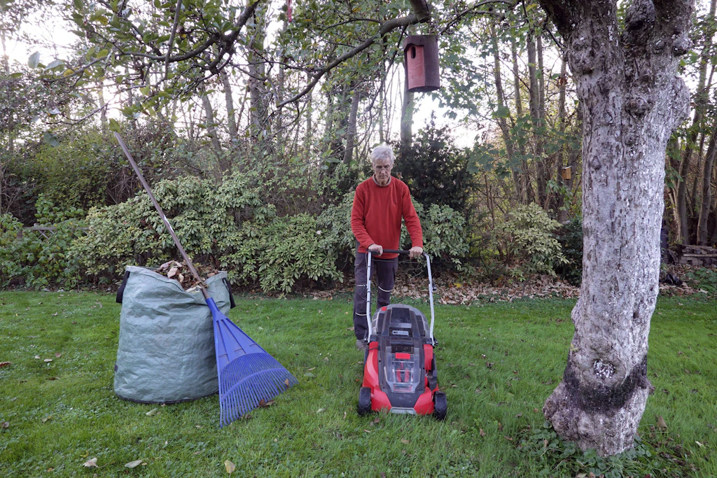 Rasen mähen im Herbst: Vor dem Winter sollte das Gras auf vier bis fünf Zentimeter gekürzt werden. Laub und Schnittgut gehören danach vom Rasen. (Symbolbild)