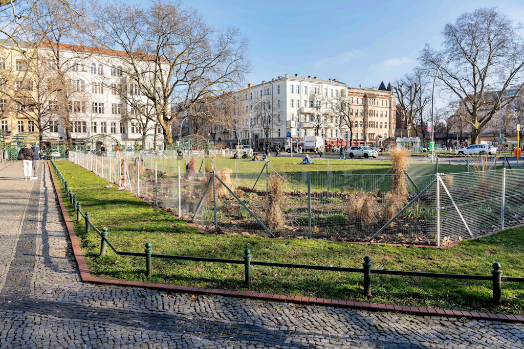 Berliner Garten-Influencer schimpft über Stauden-Knast am Savignyplatz: „Komplett verstörend“