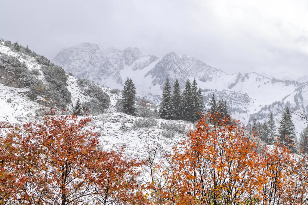 Herbstlaub vor verschneiten Gipfeln: Schon am 24. Oktober fiel in den Allgäuer Alpen bei Oberstdorf der erste Schnee. In der Nacht zum Sonntag legt der Winter in den Alpen nach. (Archivbild)