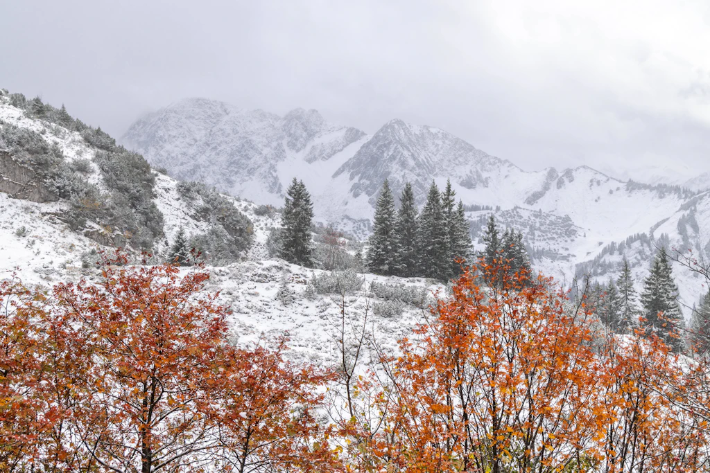 Minus 8 Grad und bis zu 20 Zentimeter Schnee: Heute Nacht kippt der Herbst in den Winter